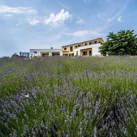 Arkaim Comfortable Holiday Villa